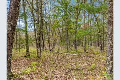 0 Maple Avenue, Brethren, MI 49619 - Photo 7