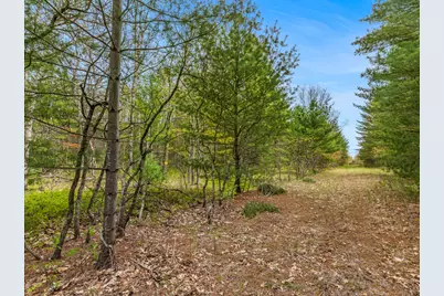 0 Maple Avenue, Brethren, MI 49619 - Photo 5
