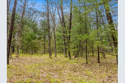 0 Maple Avenue, Brethren, MI 49619 - Photo 9