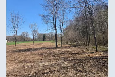 S Baldwin Avenue, White Cloud, MI 49349 - Photo 3