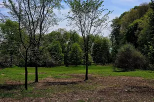S Baldwin Ave, White Cloud, MI 49349 - Photo 1