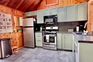 14234 Maier Dr, Lake Odessa, MI 48849 - Photo 11