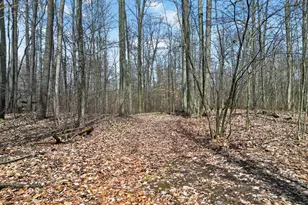 7045 17 Mile Rd NE, Cedar Springs, MI 49319 - Photo 63