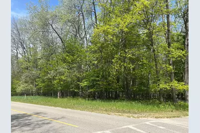 6718 Beechnut Ridge #239, Canadian Lakes, MI 49346 - Photo 3