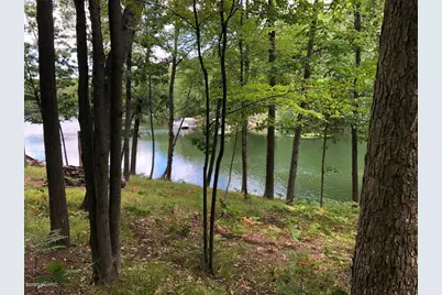 8670 N Island Drive #Lot 32 and 33, Canadian Lakes, MI 49346 - Photo 57