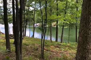 8670 N Island Dr, Canadian Lakes, MI 49346 - Photo 57