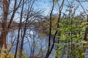 10791 Woodbrook Dr, Cement City, MI 49233 - Photo 67