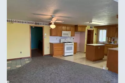 7861 S Dyer Lake Drive, Falmouth, MI 49632 - Photo 3