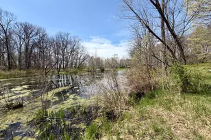 7805 W X Y Ave, Schoolcraft, MI 49087 - Photo 9