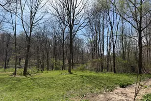 7805 W X Y Ave, Schoolcraft, MI 49087 - Photo 19