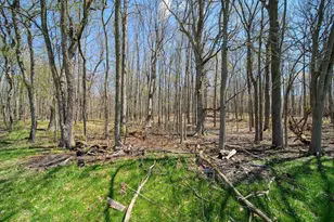 12770 W US Hwy 223, Manitou Beach, MI 49253 - Photo 29