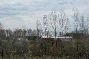 4785 N Vining Rd, Lakeview, MI 48850 - Photo 19