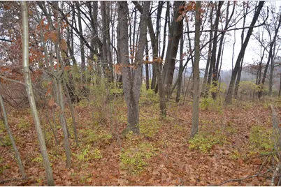 3366 Ludlow Road, Albion, MI 49224 - Photo 39