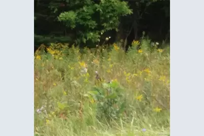 Westwood Drive, Oscoda, MI 48750 - Photo 3