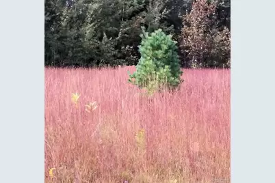 Westwood Drive, Oscoda, MI 48750 - Photo 1