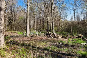 6675 & Vl 122nd Ave, Fennville, MI 49408 - Photo 47