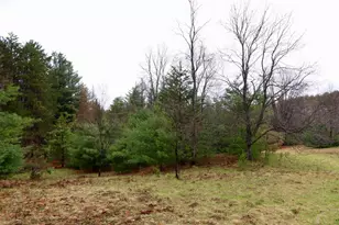 20200 Hibma Rd, Tustin, MI 49688 - Photo 89