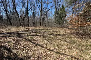 5084 Sandy Run Rd, Sears, MI 49679 - Photo 45
