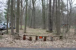 19449 Park Rd, Big Rapids, MI 49307 - Photo 25