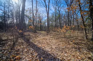 56 N Tippy Dam Rd, Wellston, MI 49689 - Photo 33