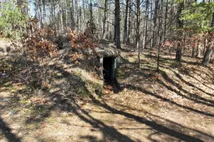 243 W Turkey Ln, White Cloud, MI 49349 - Photo 33