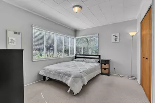 803 Barton Dr, Ann Arbor, MI 48105 - Photo 19