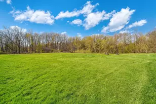 10430 Coon Hill Rd, Munith, MI 49259 - Photo 47