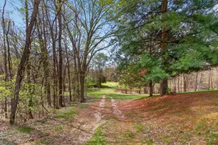 1865 Lindsey, Jackson, MI 49201 - Photo 5