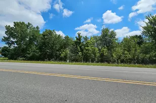 V/L County Road 681, Lawrence, MI 49064 - Photo 1