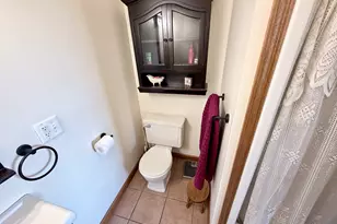 198 W Chicago Rd, Coldwater, MI 49036 - Photo 57