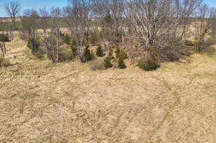 198 W Chicago Rd, Coldwater, MI 49036 - Photo 21