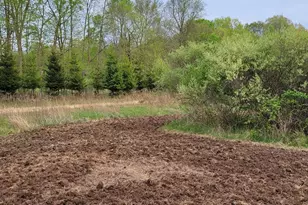 5785 Layton Rd, Fowlerville, MI 48836 - Photo 63
