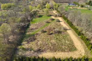 5785 Layton Rd, Fowlerville, MI 48836 - Photo 45