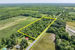 5955 102nd Ave, Grand Junction, MI 49056 - Photo 43