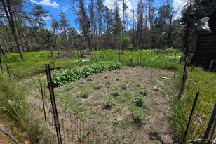 9890 Angel Rd SE, Fife Lake, MI 49633 - Photo 43