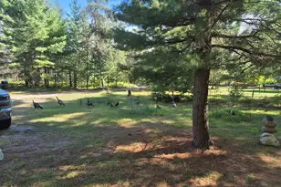 9890 Angel Rd SE, Fife Lake, MI 49633 - Photo 53