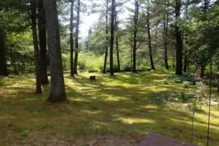 9890 Angel Rd SE, Fife Lake, MI 49633 - Photo 51