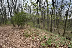 5241 Moscow Rd, Spring Arbor, MI 49283 - Photo 3