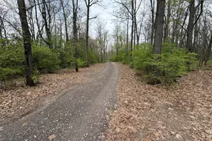 5241 Moscow Rd, Spring Arbor, MI 49283 - Photo 5