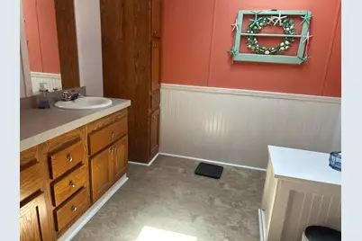 33291 Maryann Drive, Colon, MI 49040 - Photo 63