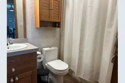33291 Maryann Drive, Colon, MI 49040 - Photo 69