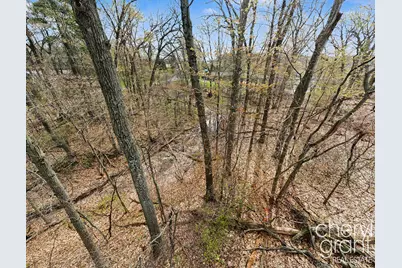7406 Ravine Drive NE, Belding, MI 48809 - Photo 13