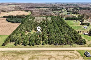 20240 10th Ave, Barryton, MI 49305 - Photo 27