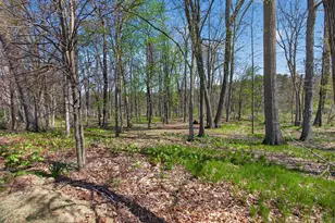 19501 B-Drive S, Marshall, MI 49068 - Photo 65