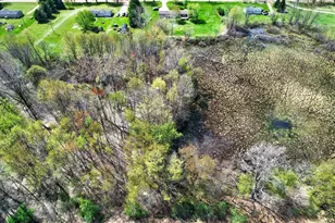 3810 9 1/2 Mile Rd, Burlington, MI 49029 - Photo 57