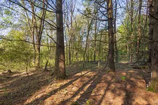 52933 68th Ave, Lawrence, MI 49064 - Photo 5