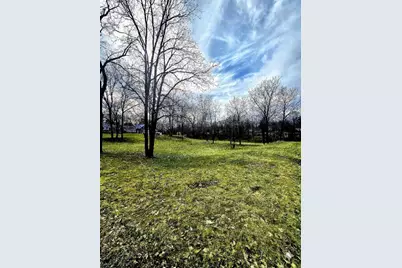 Tbd McPherson Street, Stanton, MI 48888 - Photo 1