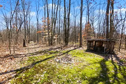Vl N Pine Avenue, Big Rapids, MI 49307 - Photo 25