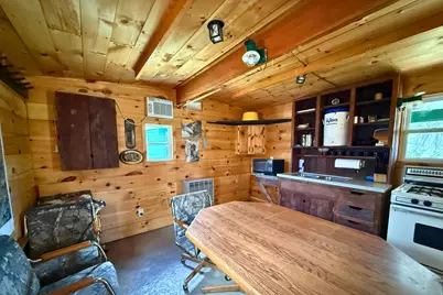 Vl N Pine Avenue, Big Rapids, MI 49307 - Photo 5