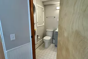 603 Madison Pl, Ann Arbor, MI 48103 - Photo 59